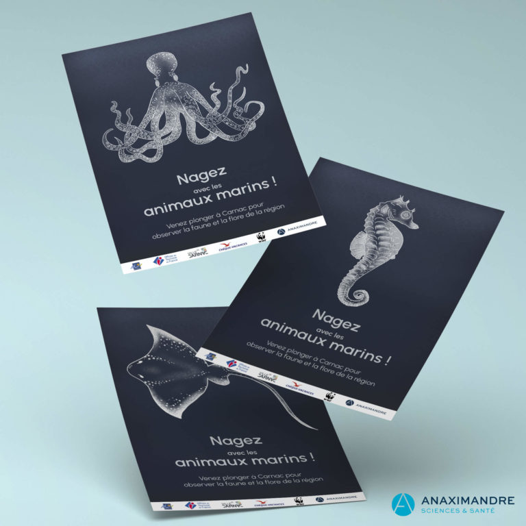 Creation de flyers et affiches - Anaximandre agence de communication et conception web à Landerneau