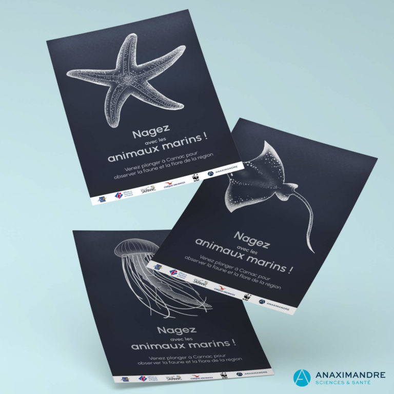 Creation de flyers et affiches - Anaximandre agence de communication et conception web à Landerneau