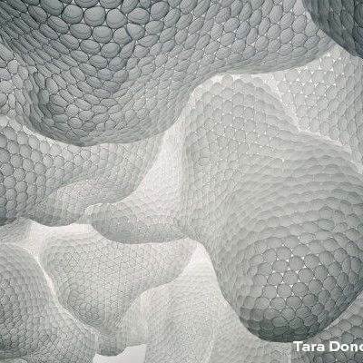 Art génératif - Tara Donovan - Styrofoam - LANKAART