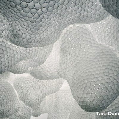 Art génératif - Tara Donovan - Styrofoam - LANKAART